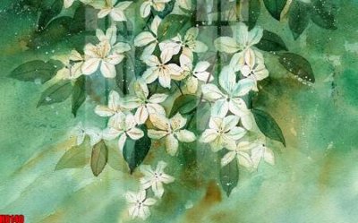 File gốc File tranh gốc tổng hợp tranh nền tường đẹp H8140 (in mica) cắt laser