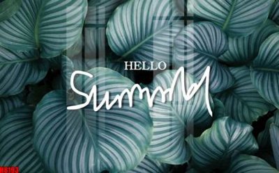 Tải file File tranh gốc tổng hợp tranh nền tường đẹp H8193 (ảnh gốc) in tráng gương