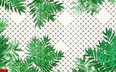 Tải file File tranh gốc tổng hợp tranh nền tường đẹp H8374 (ảnh gốc) in gạch men