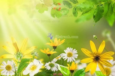 File gốc file tranh hoa H98 (chuẩn màu) cho in offset