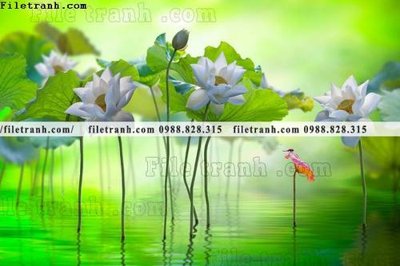 File in ấn Hinh anh hoa sen dep 663 (bản gốc) sắc nét