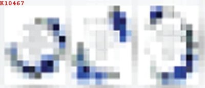 File gốc in ấn File gốc in tranh tổng hợp K10467 chuẩn màu CMYK