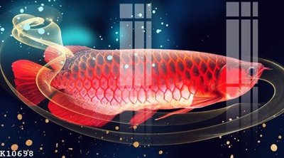 Tải file File gốc in tranh tổng hợp K10698 (gốc) để in ấn ngay