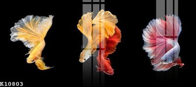 Tải file gốc File gốc in tranh tổng hợp K10803 (in tráng gương) siêu đẹpFile tranh gốc File gốc in tranh tổng hợp K10803 chất lượng cao