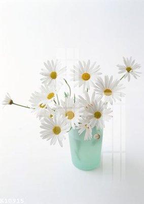 File tranh File gốc in tranh tổng hợp K10915 (file gốc) chủ đề phong thủy