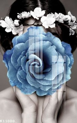 File in trần File gốc in tranh tổng hợp K11000 (bản gốc) 5D