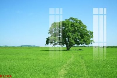 File tranh File gốc in tranh tổng hợp K1104 (ảnh gốc) cho in ấn kỹ thuật số