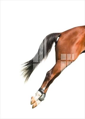 File ảnh File gốc in tranh tổng hợp K11213 (gốc) in poster