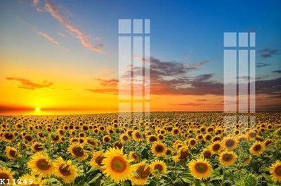 Download file File gốc in tranh tổng hợp K11249 (gốc) in mica cao cấp