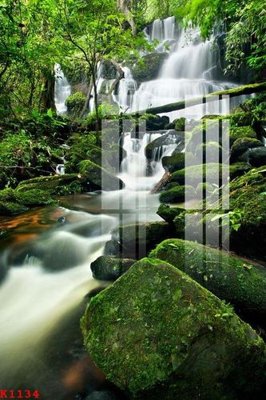 File ảnh File gốc in tranh tổng hợp K1134 (gốc) cho trang trí nhà hàng