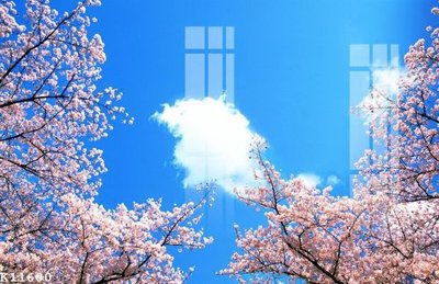 File tranh in mica File gốc in tranh tổng hợp K11600 (độ phân giải cao)