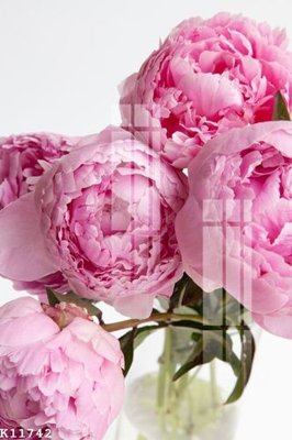 File tranh gốc File gốc in tranh tổng hợp K11742 (sắc nét từng chi tiết)