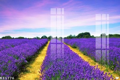 File gốc File gốc in tranh tổng hợp K11776 (cho in 3D) độc đáo