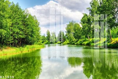 File gốc File gốc in tranh tổng hợp K11939 (ảnh chi tiết) để in trần