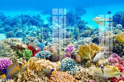 File tranh gốc File gốc in tranh tổng hợp K11946 (sắc nét từng chi tiết)