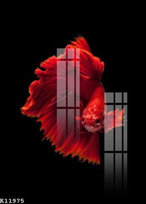 File tranh File gốc in tranh tổng hợp K11975 (gốc) in film