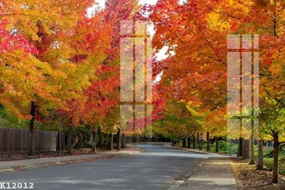 File gốc File gốc in tranh tổng hợp K12012 (in ấn) không giới hạn