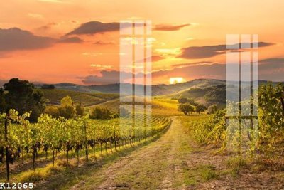 File in lụa File gốc in tranh tổng hợp K12065 (phong cảnh) File gốc in tranh tổng hợp K12065