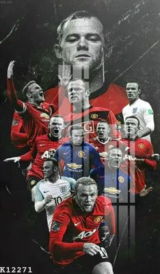 File ảnh File gốc in tranh tổng hợp K12271 (gốc) in PP, decal