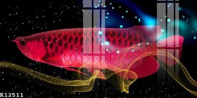 File tranh in mica File gốc in tranh tổng hợp K12511 (độ phân giải cao)