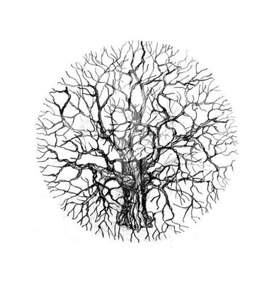 File tranh File gốc in tranh tổng hợp K12611 (gốc) chủ đề tĩnh vật