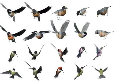 File in ấn chuyên nghiệp File gốc in tranh tổng hợp K12655 (file gốc)