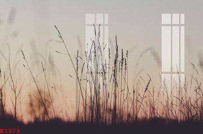 File PSD File gốc in tranh tổng hợp K1272 (gốc) cho designer