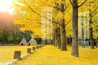 File gốc File gốc in tranh tổng hợp K12732 (trang trí) phòng ngủ