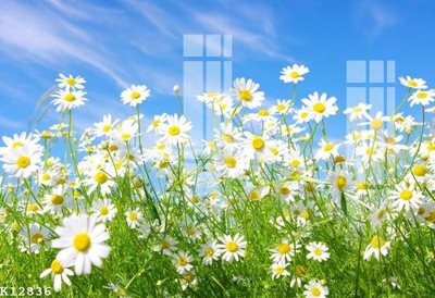 File gốc File gốc in tranh tổng hợp K12836 (cho in ấn) từ Filetranh.com