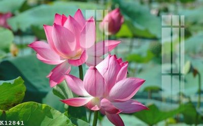 File gốc File gốc in tranh tổng hợp K12841 (in mica) cắt laser