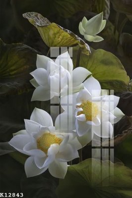 Ảnh gốc File gốc in tranh tổng hợp K12843 (nét căng) in mica