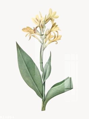 File tranh File gốc in tranh tổng hợp K12854 (gốc) in trên kính