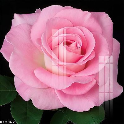 File gốc File gốc in tranh tổng hợp K12862 (ảnh chi tiết) để in lụa