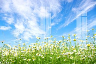 File tranh File gốc in tranh tổng hợp K12864 (ảnh gốc) độ nét vượt trội