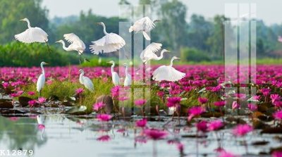 Tải file tranh File gốc in tranh tổng hợp K12879 (ảnh gốc) ngay