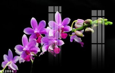 File tranh File gốc in tranh tổng hợp K12884 (bản gốc) trang trí văn phòng