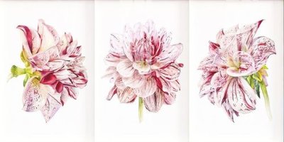 File in trần File gốc in tranh tổng hợp K12912 (file gốc) xuyên sáng