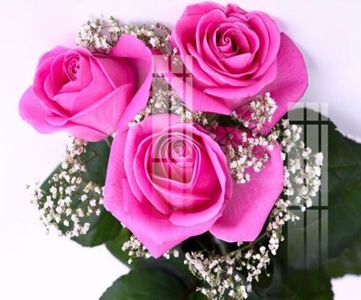 File PSD File gốc in tranh tổng hợp K12984 (bản gốc) độ phân giải cao