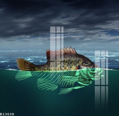 Tải file gốc File gốc in tranh tổng hợp K13038 (để in lụa)