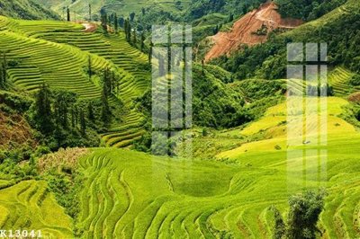 File gốc File gốc in tranh tổng hợp K13041 (in lụa) tranh mã đáo