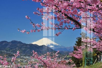 File tranh File gốc in tranh tổng hợp K13043 (gốc) chủ đề trừu tượng