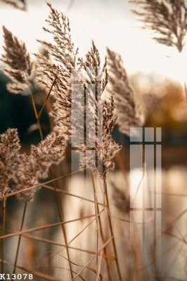 File tranh File gốc in tranh tổng hợp K13078 (bản gốc) in lụa 3D