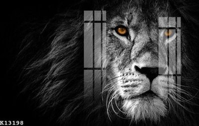 File tranh File gốc in tranh tổng hợp K13198 (gốc) in film