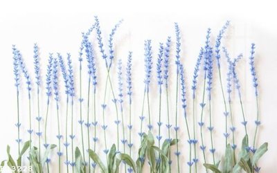 File gốc File gốc in tranh tổng hợp K13228 (vector) cho in ấn