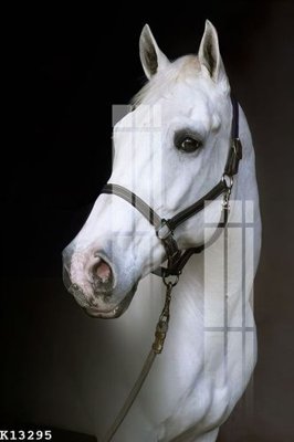 Tải file gốc File gốc in tranh tổng hợp K13295 (in tráng gương) cao cấpFile gốc File gốc in tranh tổng hợp K13295 (in ấn) phiên bản độc quyền