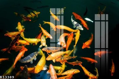 File in mica File gốc in tranh tổng hợp K13389 (bản gốc) siêu trong