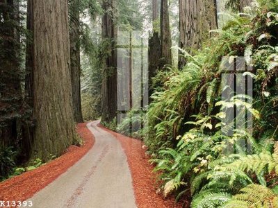 File PSD File gốc in tranh tổng hợp K13393 (bản gốc) đã tách nền