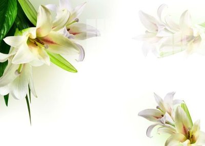 File ảnh File gốc in tranh tổng hợp K13396 (gốc) in quảng cáo ngoài trời