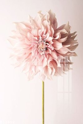 File gốc File gốc in tranh tổng hợp K13452 cho in ấn và thiết kế