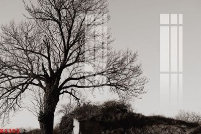 File gốc File gốc in tranh tổng hợp K1352 (ảnh chi tiết) để in trần